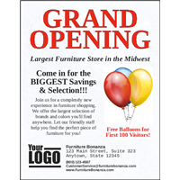 Flyers 8.5" x 11" (Easy)